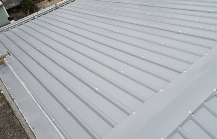 屋頂外觀翻修 (1)